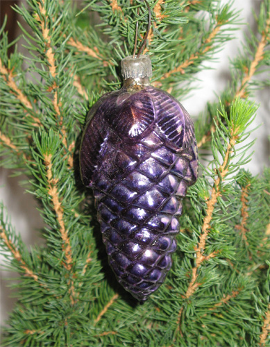 Шишка фиолетовая