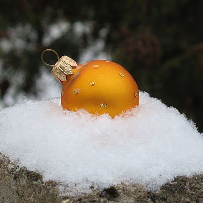   - В лесу родилась елочка